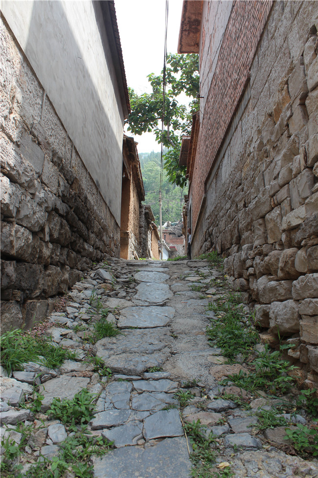 32 德扑之星官网-不凡成绩非凡,相信品牌的实力